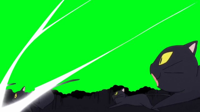 SERDAR ŞİMŞEK KARAKEDİ SALDIRI MÜZİKLİ ANİMASYON