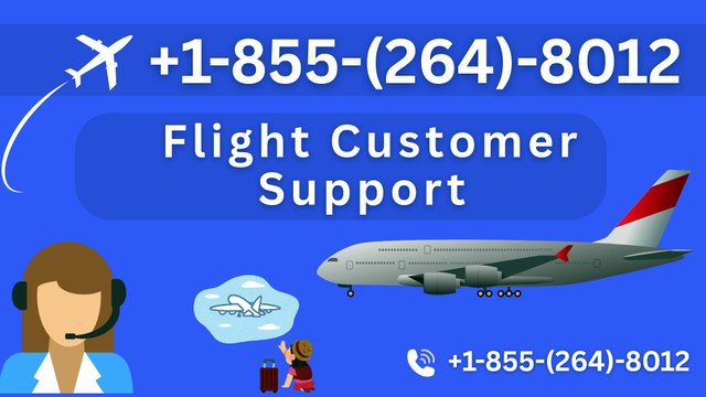How to Contact bReeze Airways®® Customer Service: Official 24/7 Support Guide