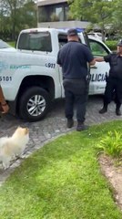 Así detuvieron al ex abogado de Wanda Nara por estafas