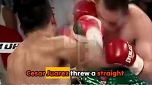 Nonito Donaire's COUNTER HOOK sends Juarez STUMBLING!