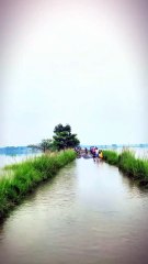 Rainy day status l monsoon season l barish whatsapp status