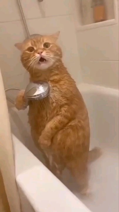 Bath In Winter 😂