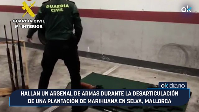 Hallan un arsenal de armas durante la desarticulación de una plantación de marihuana en Selva, Mallorca