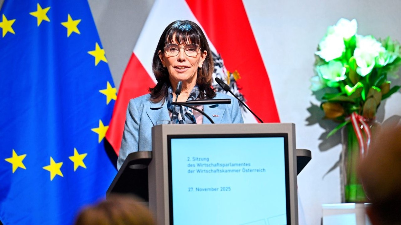 'Ramponiertes Image': Übergangschefin der Wirtschaftskammer will Reformen