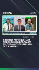 Gobierno prevé que haya disponibilidad de dólares en los bancos en un plazos de 6 a 9 meses