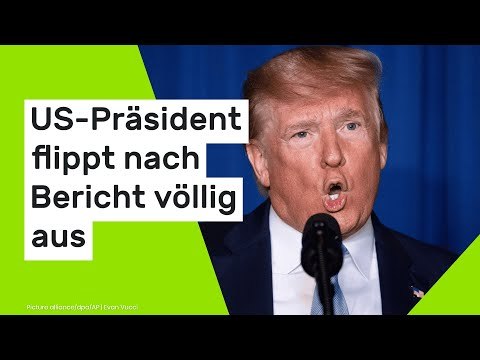 Donald Trump: Journalistin als hässlich beschimpft - US-Präsident flippt nach Bericht völlig aus
