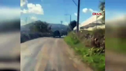 Kamyonete bağlayıp sürükledikleri köpek öldü! Muğla’da vahşete 2 gözaltı!