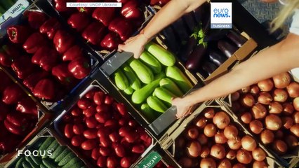 Япония мобилизует мировой опыт для разминирования земель Украины