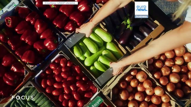 Япония мобилизует мировой опыт для разминирования земель Украины