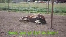 Jimini et la douche