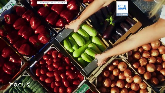 كيف تقوم اليابان بحشد الخبرات العالمية لإزالة الألغام الأرضية في أوكرانيا
