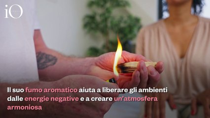 Come usare il palo santo? Il legno sacro del Sud America contro le energie negative