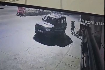 Cow thieves gang: Video: शहर में गाय चोर गिरोह सक्रिय, स्कॉर्पियो में भरकर ले गए 3 गौवंश, दोनों ही वारदात CCTV में कैद