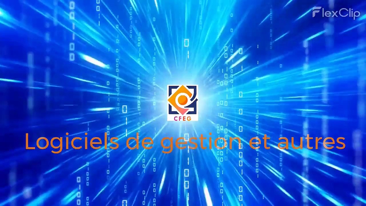 Vidéo 5 mise au format d'un tableau Excel partie 2