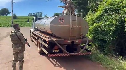 Quatro toneladas de agrotóxicos são apreendidas em caminhão de leite