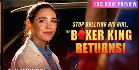 Stop Bullying His Girl, the Boxer Kinh Returns! 🎁🔥