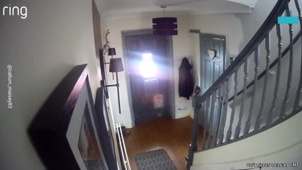 Hilarious Moment Dog Locks Man Out of the House