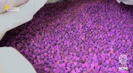 Genova, sequestrate tonnellate di sostanze chimiche utili a produrre droga (27.11.25)