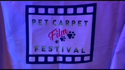 Sostenibilità a 4 zampe con "Pet Carpet: Un riciclo da Oscar"