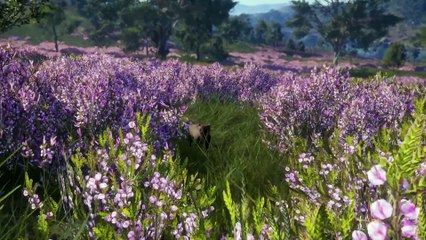 theHunter： Call of the Wild Official Scotland Hunting Reserve Release Date Trailer
