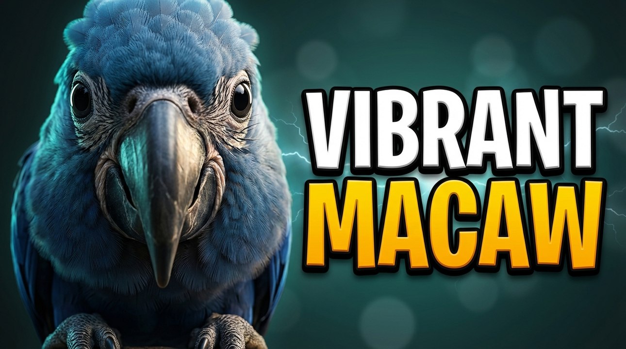 Top 5 Most Colorful Birds in the World