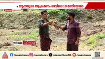 ജീവനെടുത്ത് കാട്ടാന... നിലമ്പൂരിൽ ടാപ്പിംഗ് തൊഴിലാളിക്ക് ദാരുണാന്ത്യം