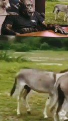 Very Funny Podcast Need to see this..& follow me