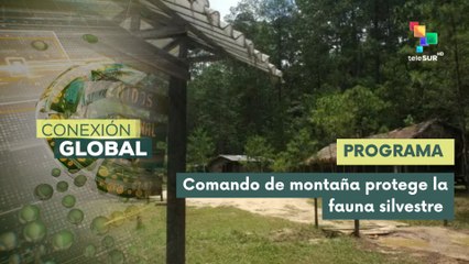 Gobierno hondureño garantiza la protección de bosques y áreas montañosas
