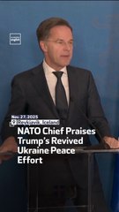 NATO Chief Praises Trump’s Revived Ukraine Peace Effort