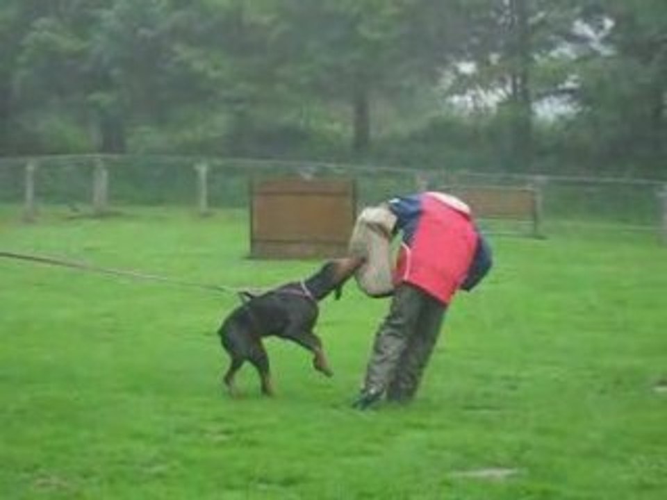 Attache 1