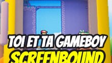Toi et ta gameboy, le jeu screenbound !