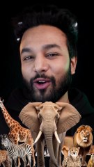 Masoom Facts About Animals   :Fact Mine