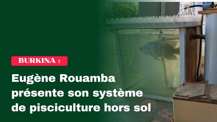Système de pisciculture hors sol et à circuit fermé : L’innovation burkinabè qui bouscule les codes de l’élevage du poisson
