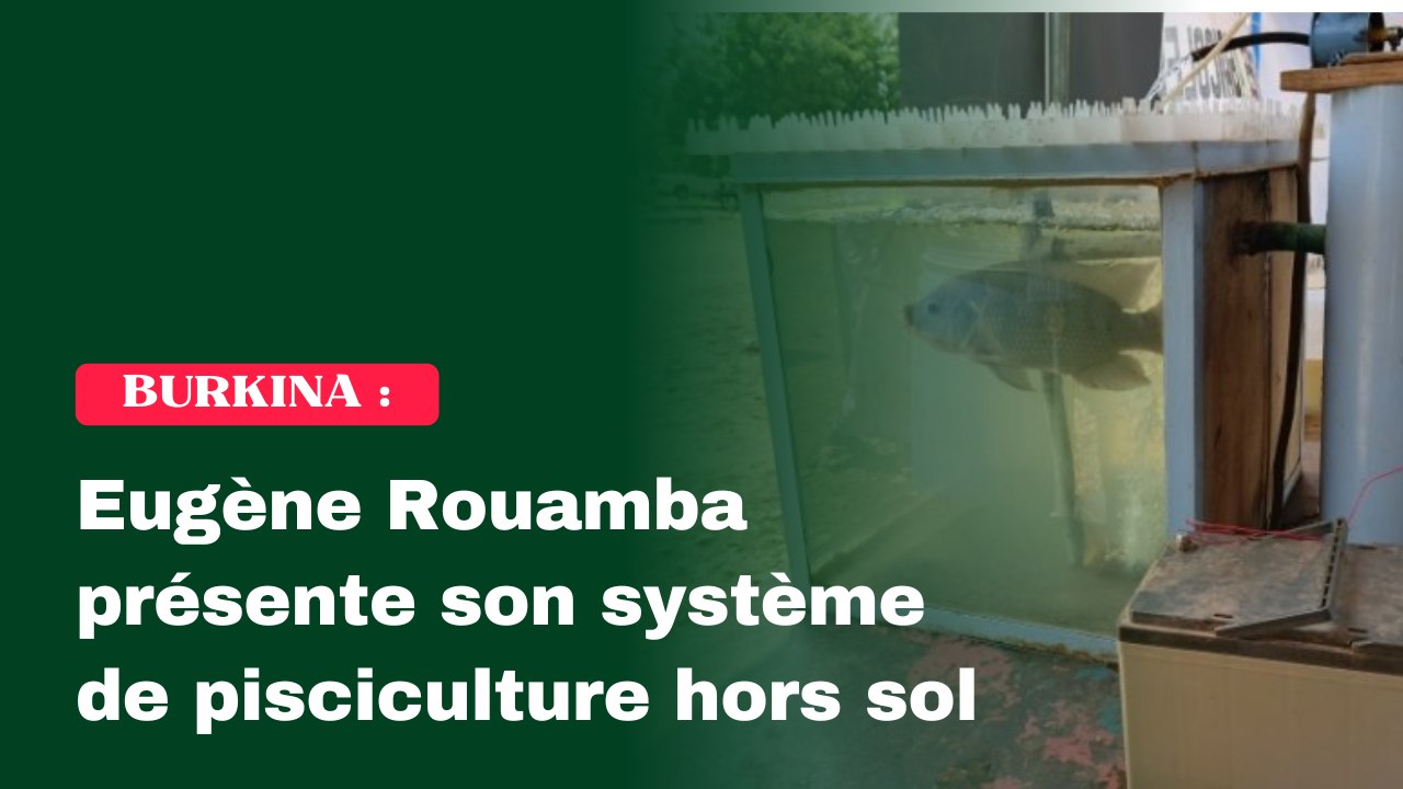 Système de pisciculture hors sol et à circuit fermé : L’innovation burkinabè qui bouscule les codes de l’élevage du poisson