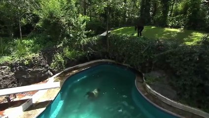 120. Amor Cautivo (Final)