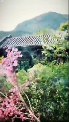 The Hidden Edge Of Grace