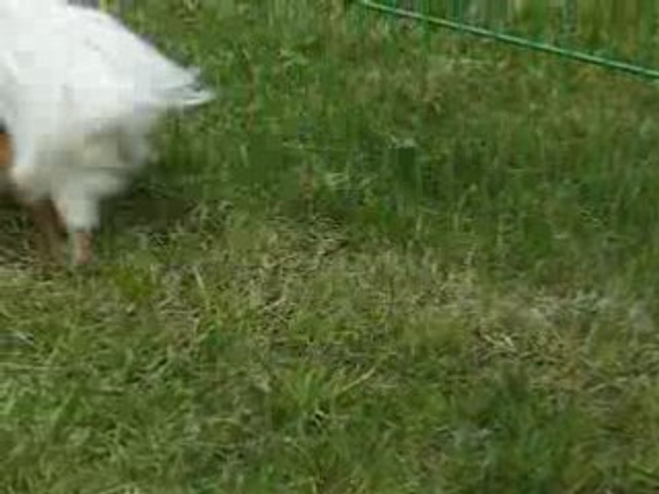 Casper a peur d'une sonnerie
