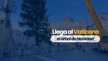 Árbol de navidad en el Vaticano
