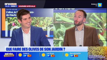 Bonsoir DICI du jeudi 27 novembre 2025