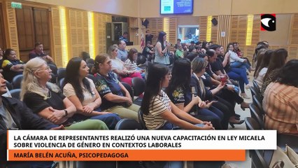 La Cámara de Representantes realizó una nueva capacitación en Ley Micaela