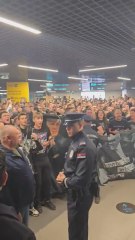 Así espera la afición de Partizan a Obradovic para evitar su dimisión