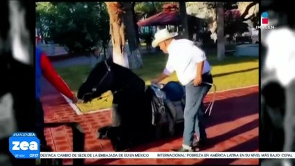 Diputado de Movimiento Ciudadano se cae de caballo durante grabación