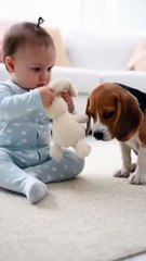 Baby Lecturing a Puppy #ai #cute #kitten #cat #viralreels #love #baby