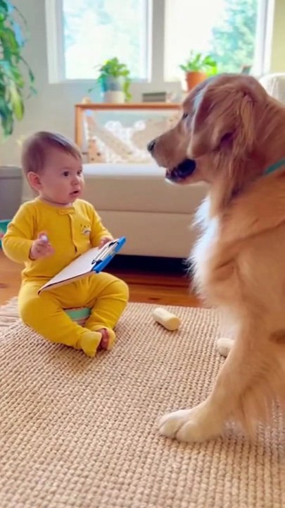 Baby Giving a Serious Performance #ai #cute #kitten #cat #viralreels #love #baby