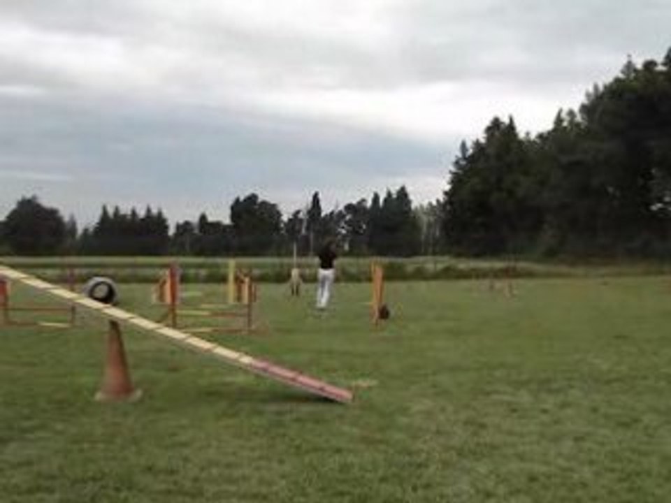 Top (2)