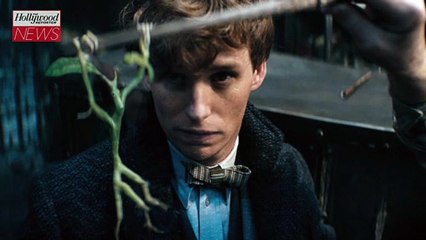 ‘Fantastic Beasts: The Secrets of Dumbledore’ Brings in $43M at the Box Office | THR News