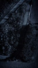 let me tell you something that nobody tells you