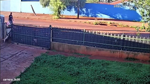 Câmera mostra homem usando facão para atingir cães dentro de casa no bairro Cataratas em Cascavel