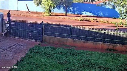 Câmera mostra homem usando facão para atingir cães dentro de casa no bairro Cataratas em Cascavel