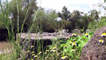 La Conagua niega que la nueva Ley de Aguas prohíba heredar o vender concesiones